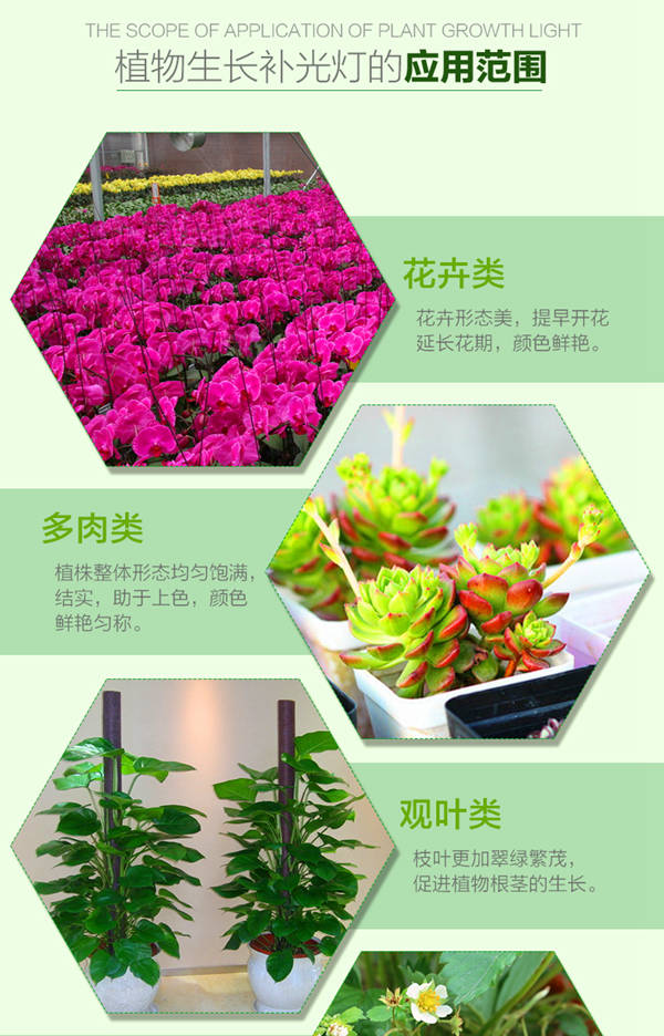 金光通LED植物生長燈3